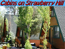 Cabins On Strawberry Hill Resort